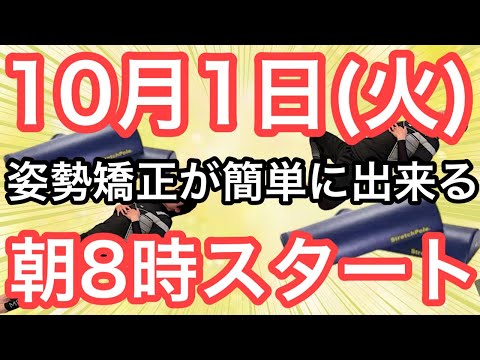 【姿勢を正せば8㎏痩せる】60代70代向け🔰初心者大歓迎❗️今日から痩せよう🔰朝8時スタート！無理なくお腹凹む！ナマケモノの健康LIVE