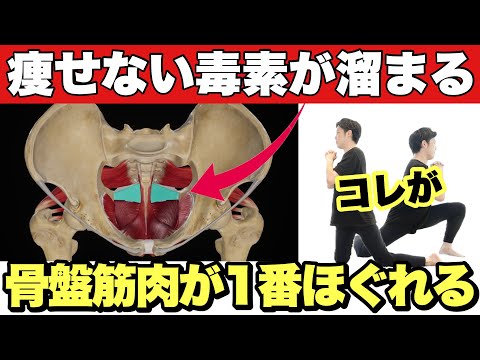 【痩せる骨盤毒素出し】ココがほぐれると不思議なぐらい痩せる『骨盤矯正』